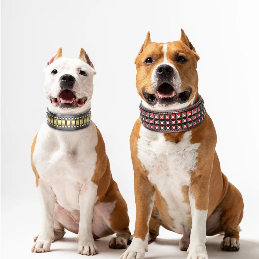 2" Luxury Genuine Leather Dog Collar Durable Metal Rivets.