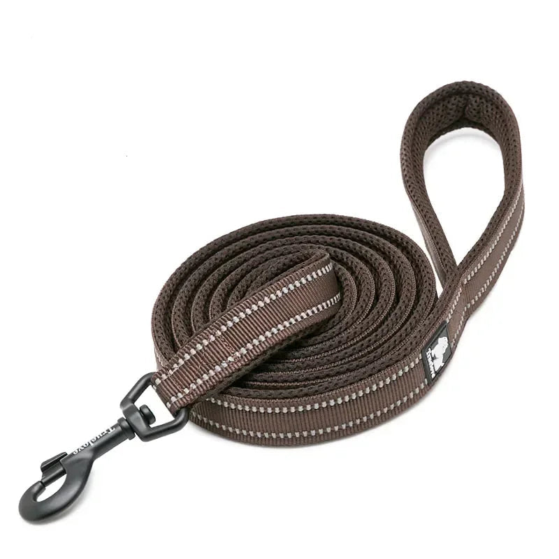 Reflective Nylon Mesh Dog Lead