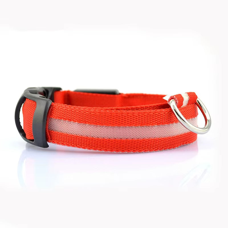 LED Rechargeable Dog Collar