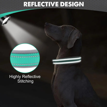 Padded Reflective Wide Collars Adjustable
