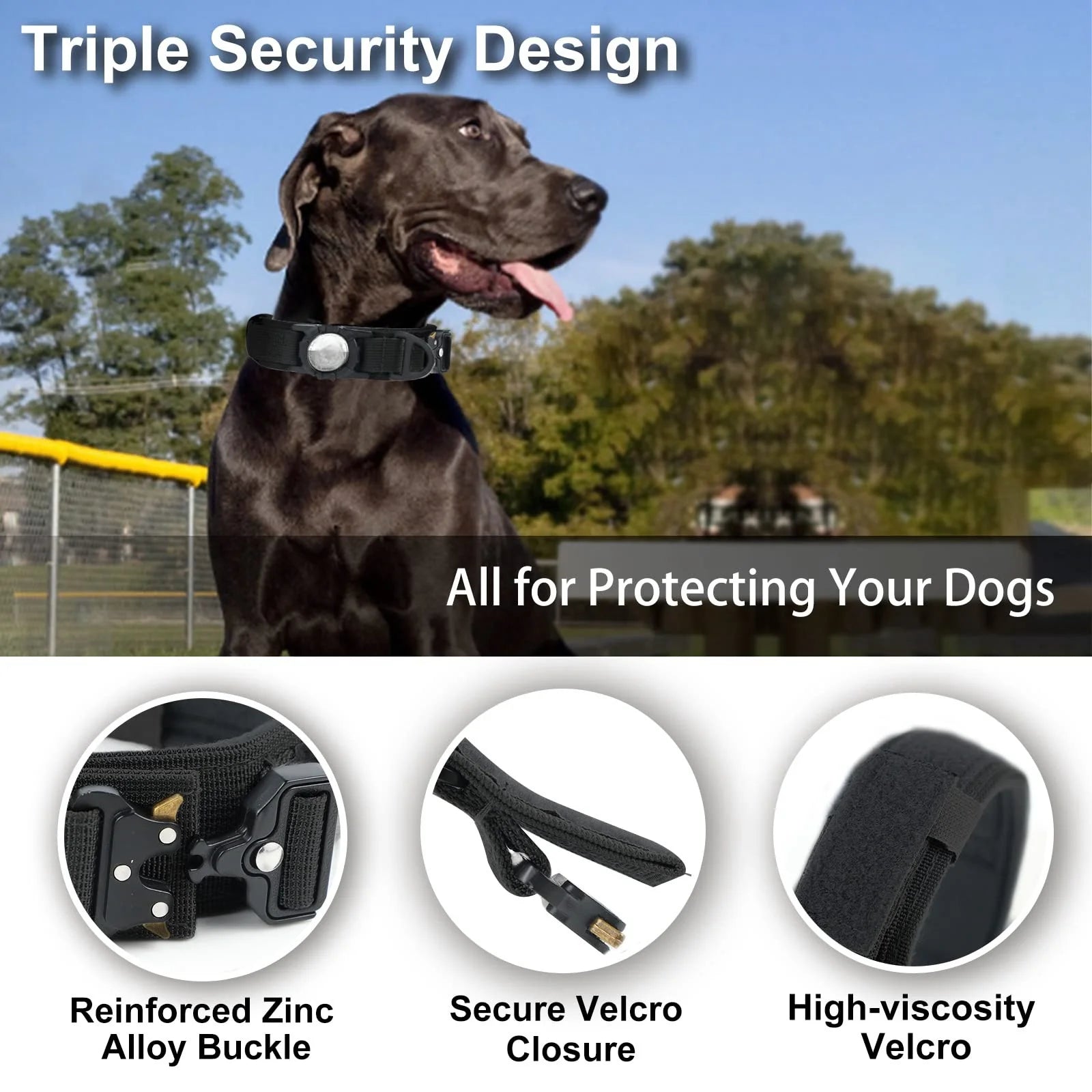 AirTag Holder Dog Collar with Optional Bungee Leash