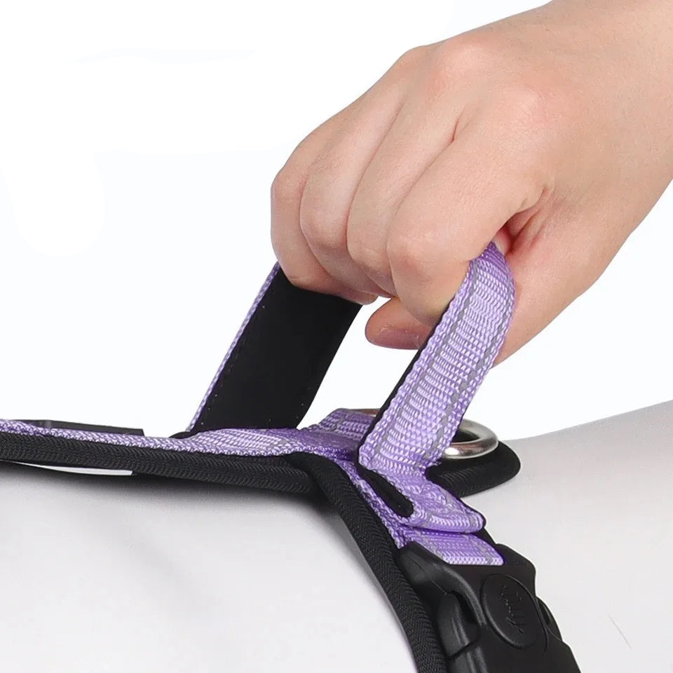 Reflective Dog Harness with Handle - Purple