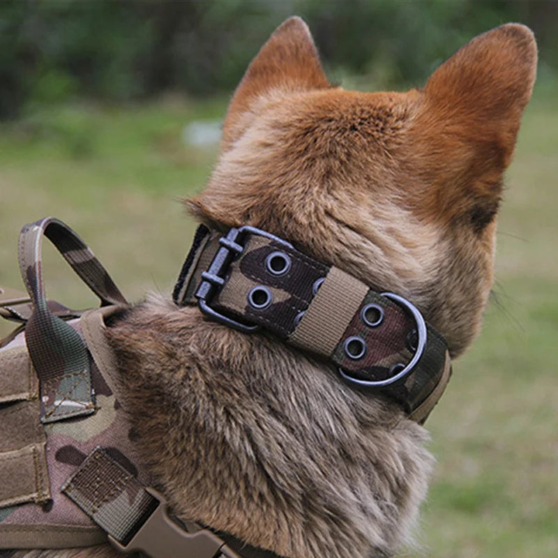 Adjustable Military Heavy Duty Dog Collar