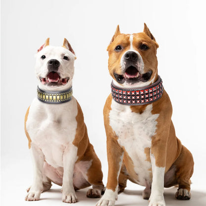 2" Luxury Genuine Leather Dog Collar Durable Metal Rivets.