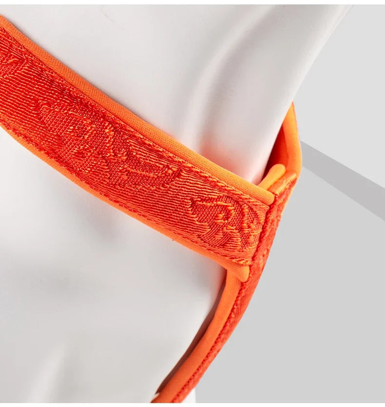 No-Pull Dog Harness