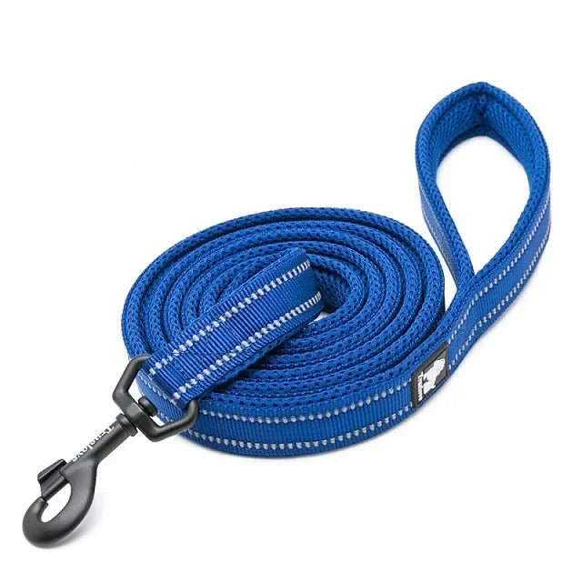 Reflective Nylon Mesh Dog Lead