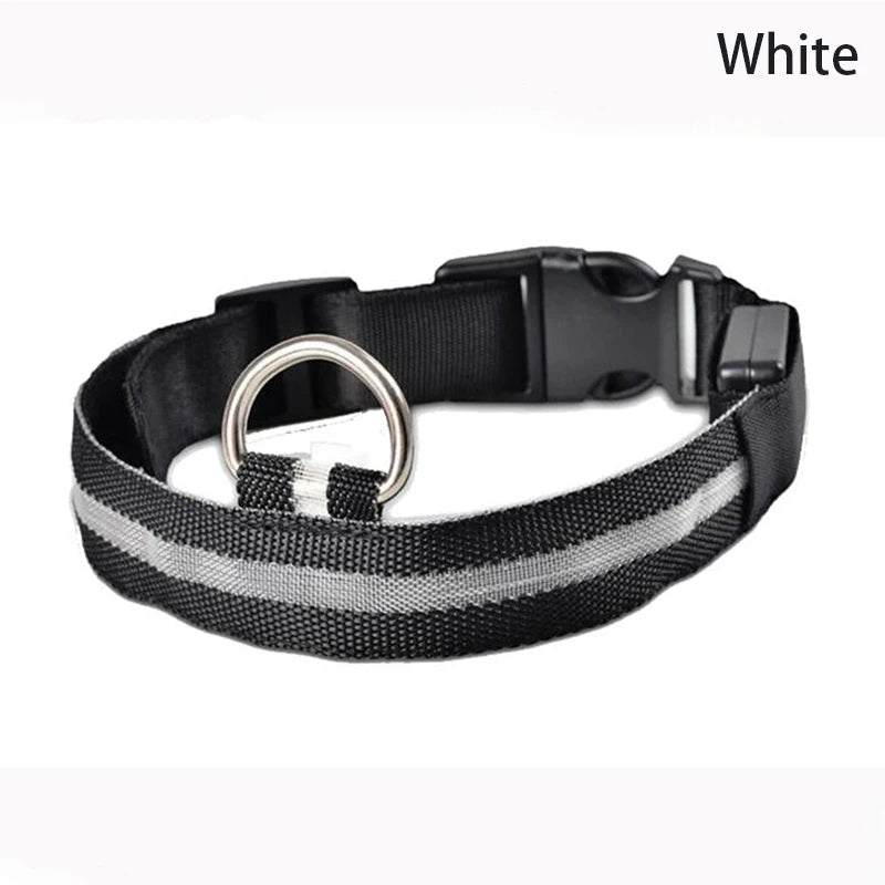 LED Rechargeable Dog Collar