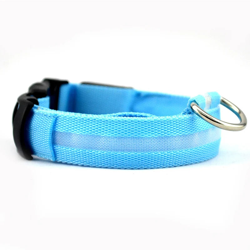 LED Rechargeable Dog Collar