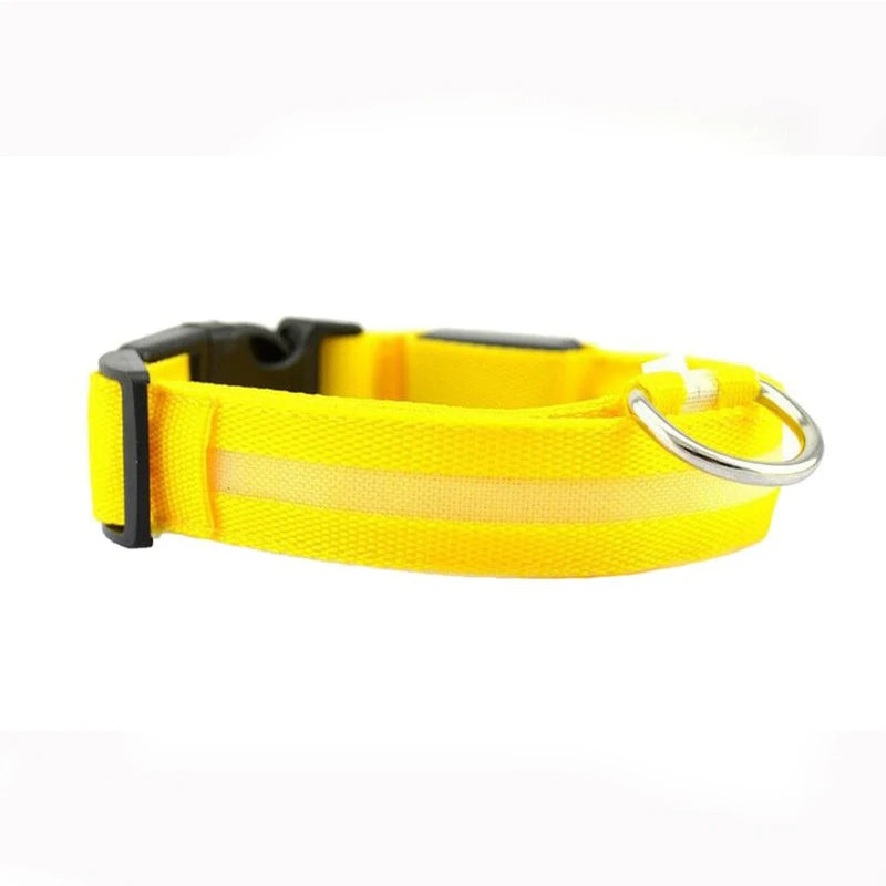 LED Rechargeable Dog Collar